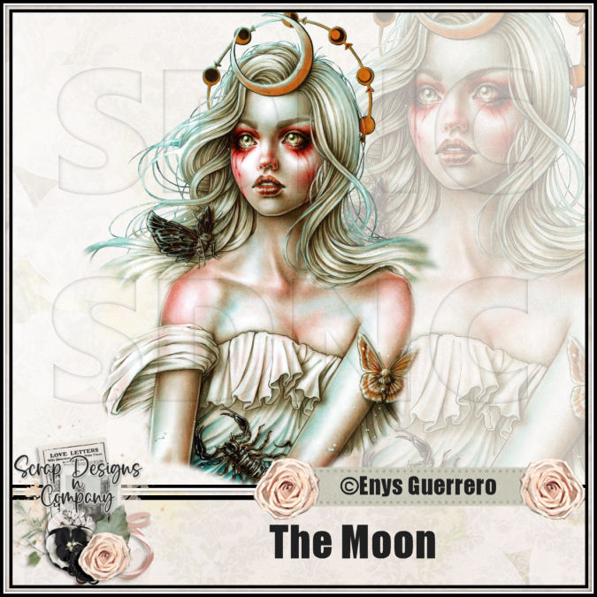(image for) The Moon